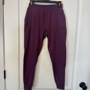 Alphalete Purple Jogger Pants.